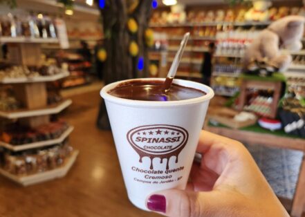 Como fazer chocolate quente spinassi?